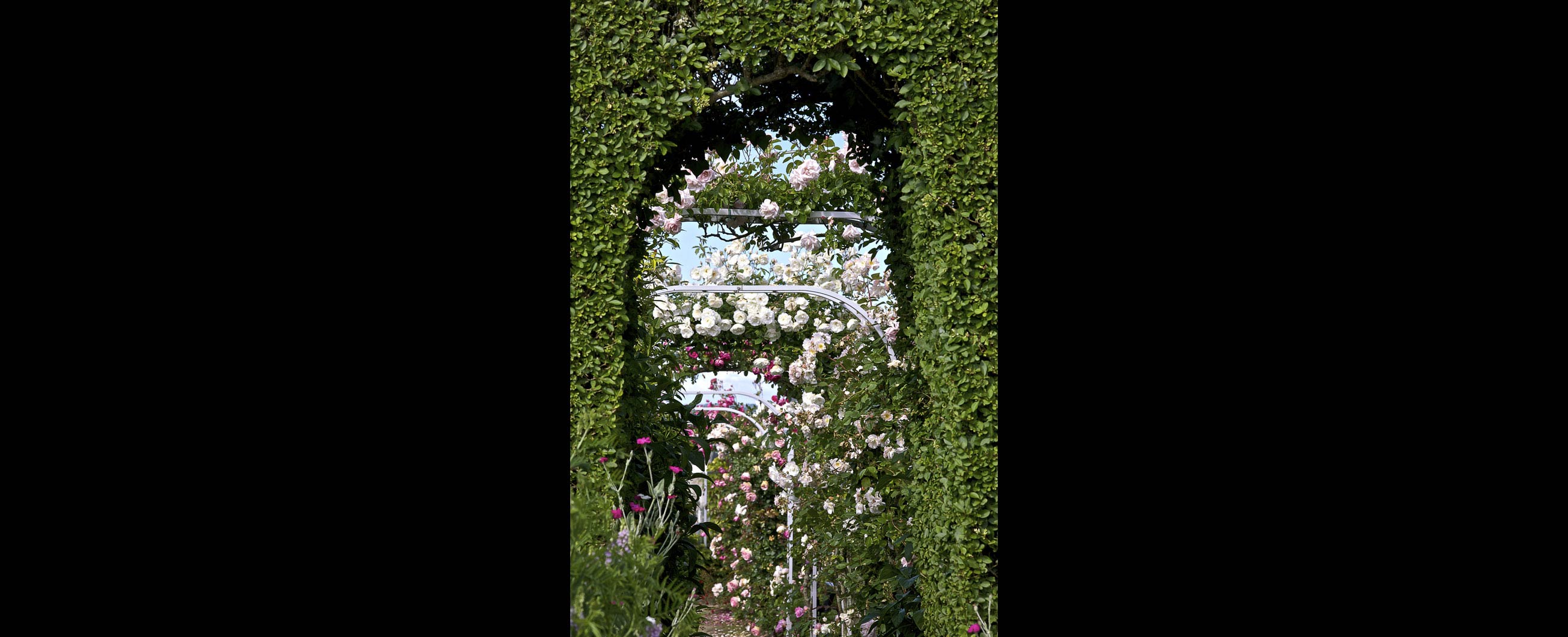 passion_jardins_fleurs_granville_vzg_02
