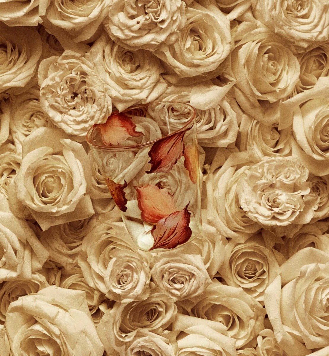 Verre à eau Cannage & Roses, Rose