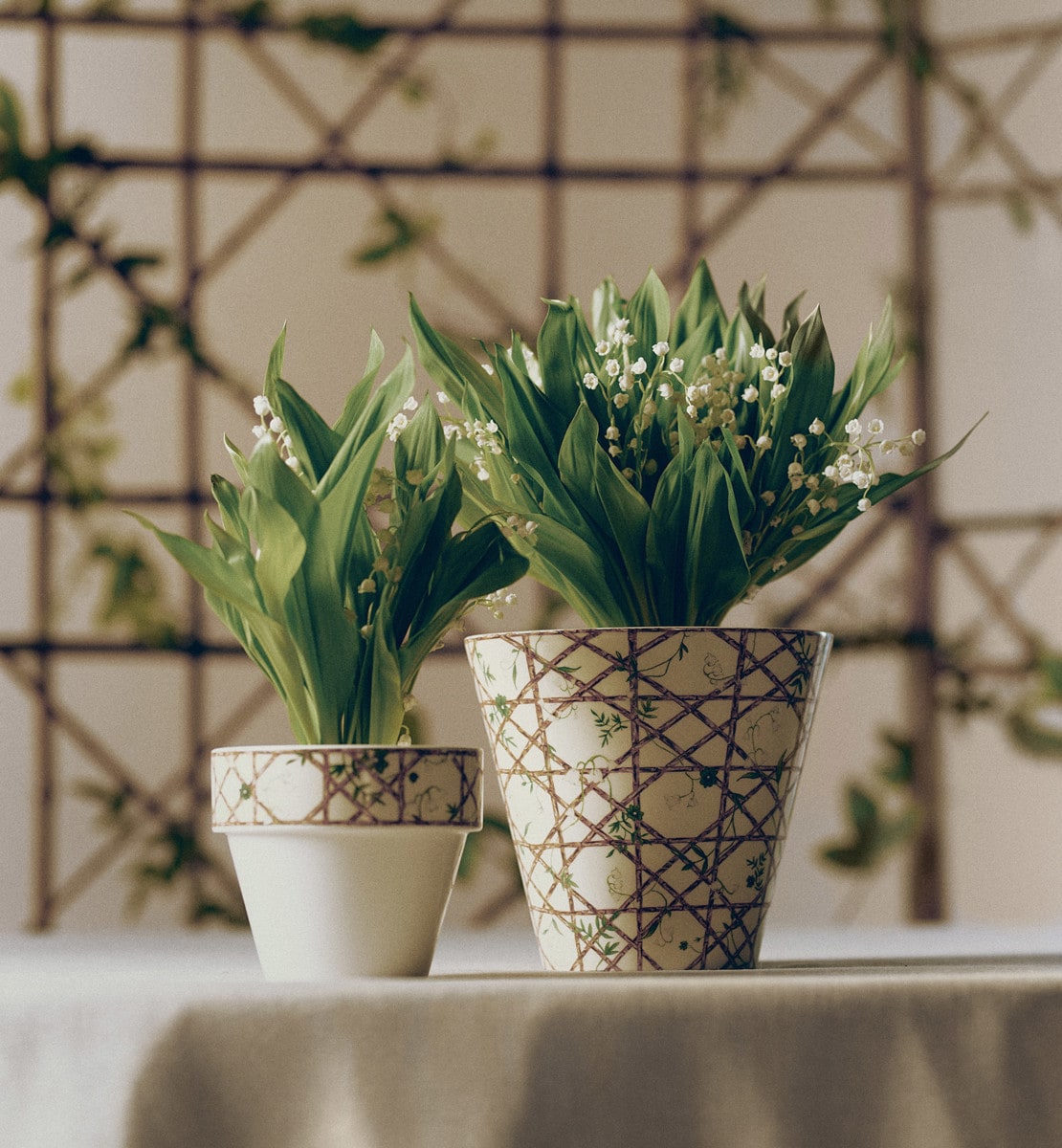 Petit cache pot Lily Sauvage, multicolore