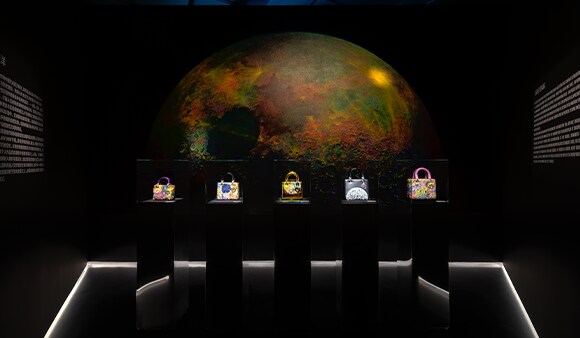 Dior Lady Art #7