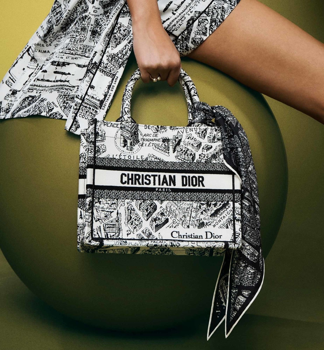 Sac Dior Book Tote Small Broderie Plan de Paris blanc et noir