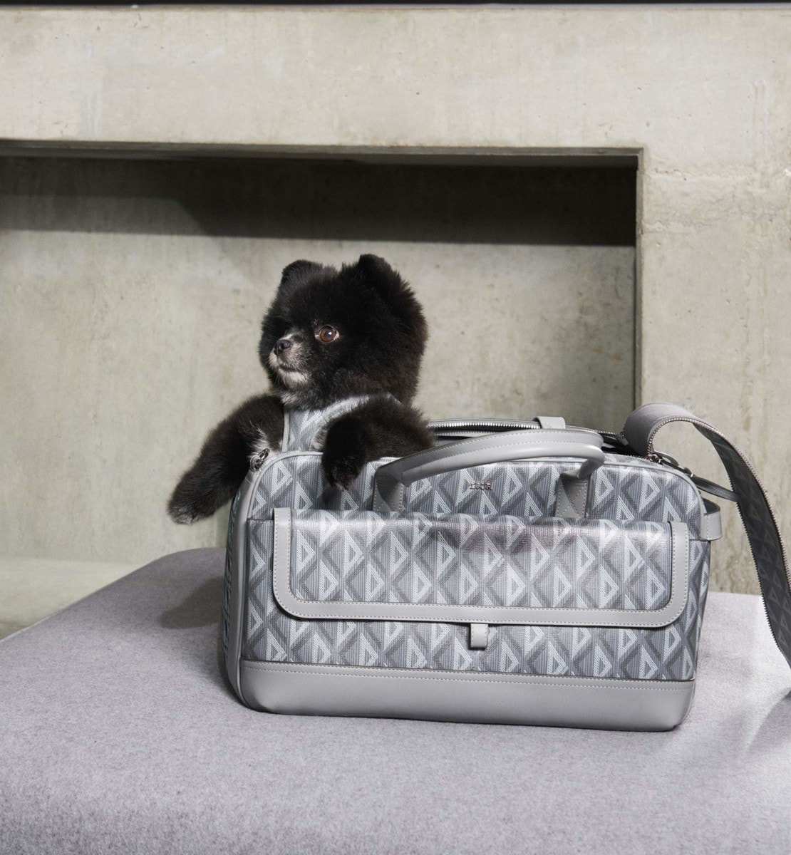 Sac de transport animal Dior Hit the Road Toile CD Diamond et cuir de veau lisse gris Dior