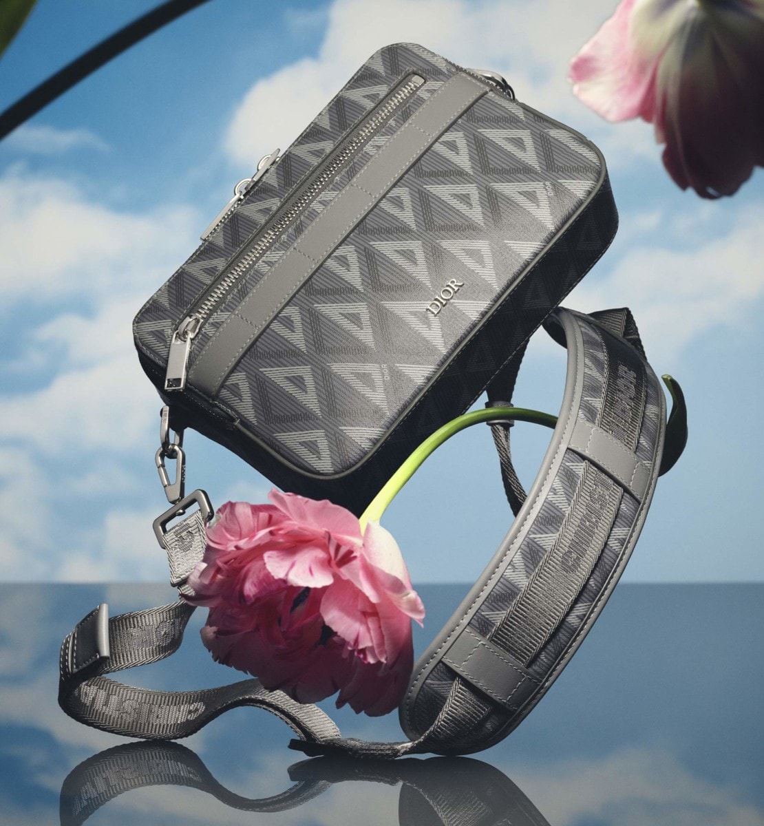 Sac bandoulière Safari Toile CD Diamond gris Dior